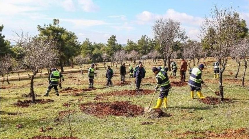 Şehitkamil&rsquo;den Doğa Hayvanlarına &Ouml;zel Bah&ccedil;e