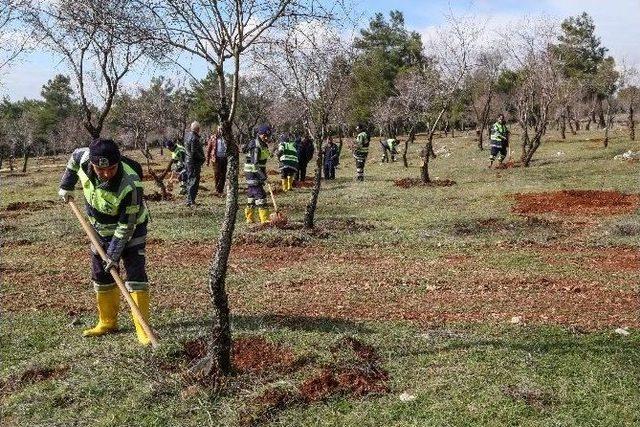 Şehitkamil’den Doğa Hayvanlarına Özel Bahçe