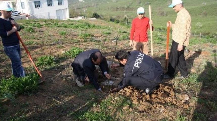 Ak&ccedil;akoca&rsquo;da Trafik Denetleme Şube M&uuml;d&uuml;rl&uuml;ğ&uuml; Bah&ccedil;esine Fidan Dikildi