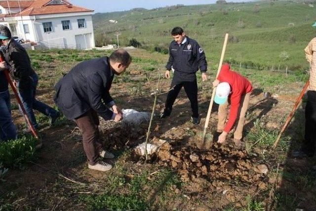 Akçakoca’da Trafik Denetleme Şube Müdürlüğü Bahçesine Fidan Dikildi