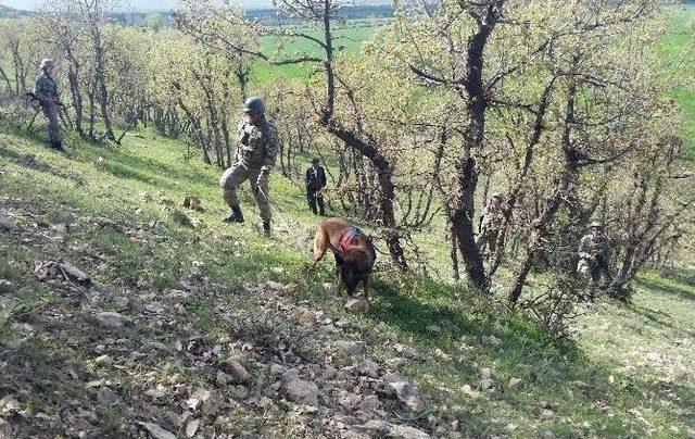 İz Köpeklerinin Desteğiyle 4 Yaşındaki Kayıp Çocuk Bulundu