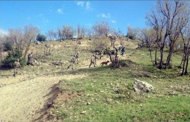 İz Köpeklerinin Desteğiyle 4 Yaşındaki Kayıp Çocuk Bulundu