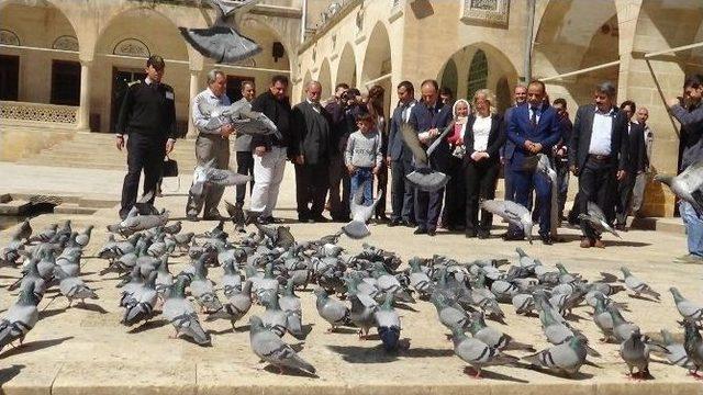 Hdp Adayları Balıklıgöl’de Seçim Startını Verdi