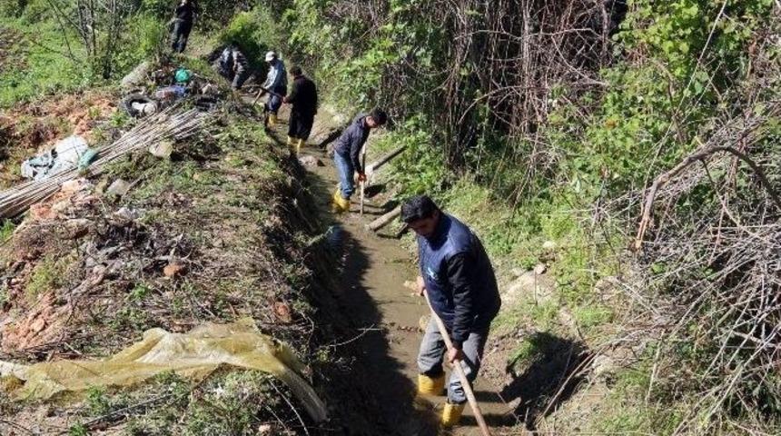 Erdemli Belediyesi Sulama Kanallarını Temizliyor