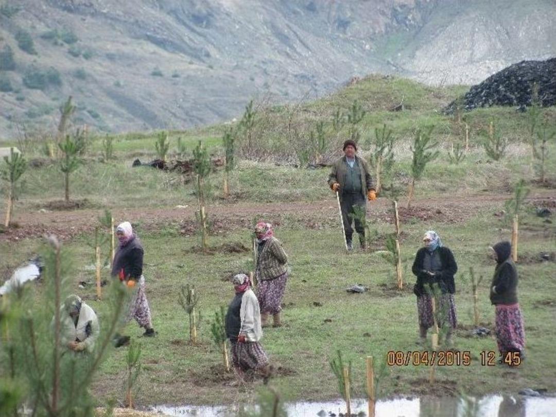 32 Madenciye Mezar Olan Maden Ormana &Ccedil;evriliyor