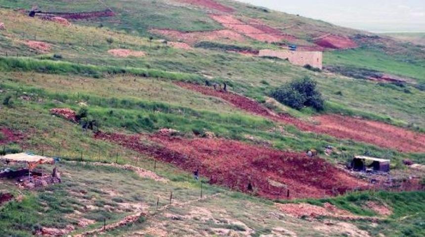 Cudi Dağı'nın Bir Tarafında Kış, Diğer Tarafında Bahar Mevsimi Yaşanıyor