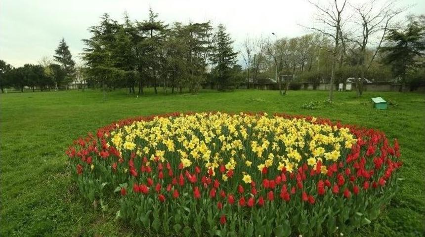 Bursa&rsquo;da Lale Devri