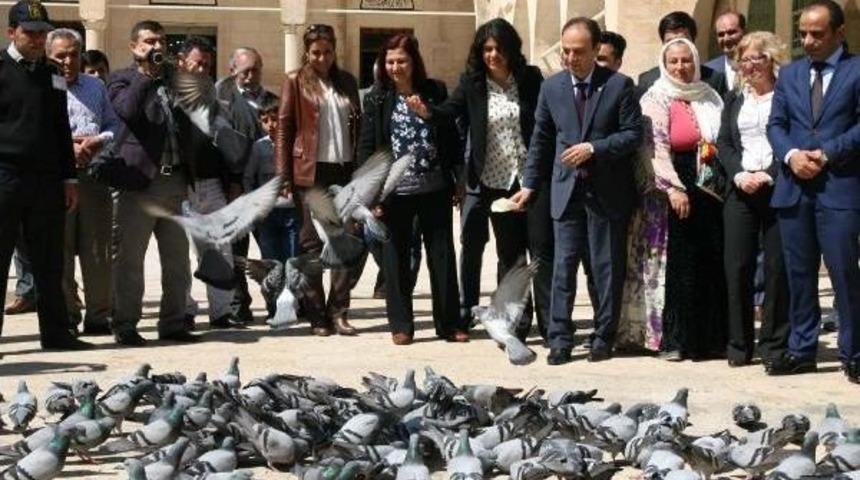 Şanlıurfa'da Hdp Milletvekili Adayları Dualarla Se&ccedil;im &Ccedil;alışmasına Başladı