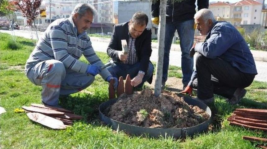 Ağa&ccedil;lar Ve Ref&uuml;jler Bahara Hazırlanıyor