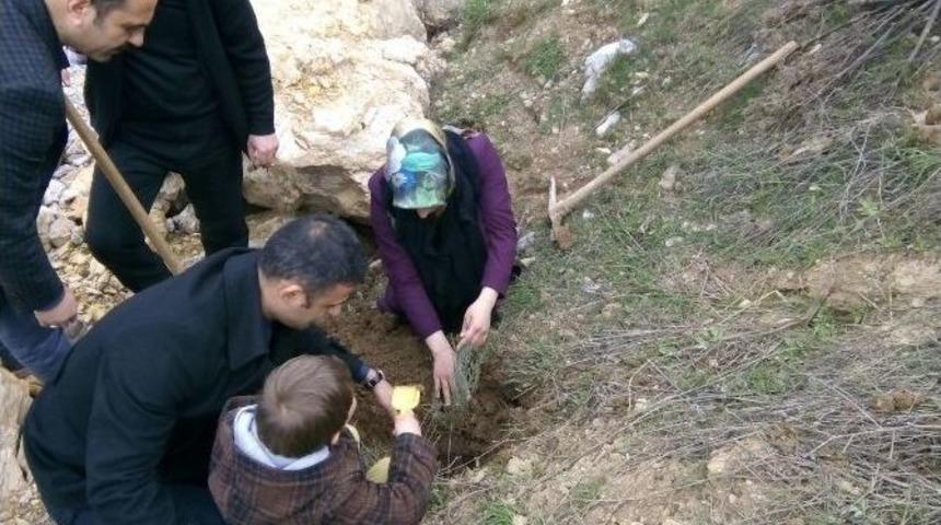 Çelikhan’da Fidan Dikim Şenliği Düzenlendi