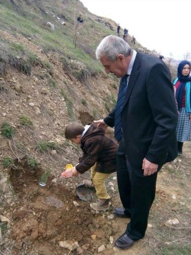 Çelikhan’da Fidan Dikim Şenliği Düzenlendi