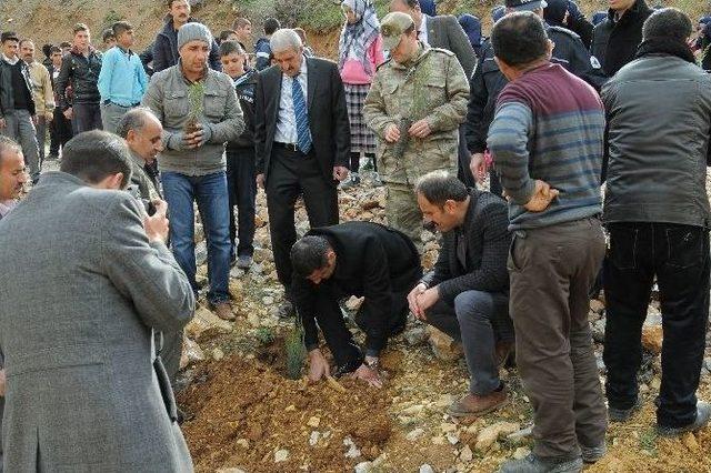 &Ccedil;elikhan Anadolu İmam Hatip Lisesi Hatıra Ormanı Oluşturdu 1
