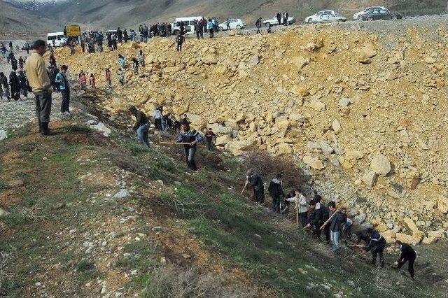 &Ccedil;elikhan Anadolu İmam Hatip Lisesi Hatıra Ormanı Oluşturdu 2