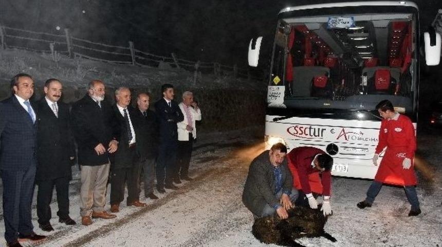 Zigana&rsquo;da İlk Turist Kafilesi İ&ccedil;in Kurban Kesildi