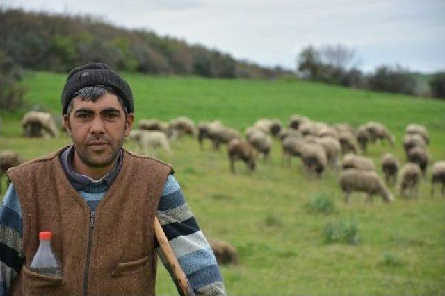 Bursa'dan, Bahar Görüntüleri