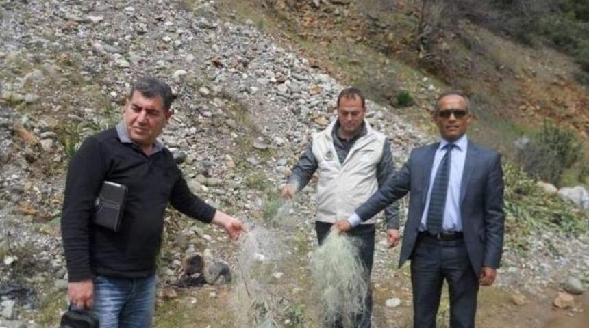 Dalaman&rsquo;da Tırıvırı Avı Kontrolleri Yapıldı