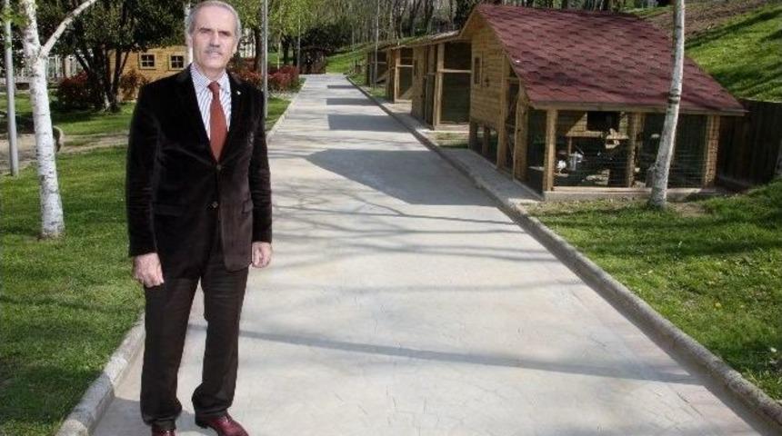 K&uuml;lt&uuml;rpark, Canlanıyor