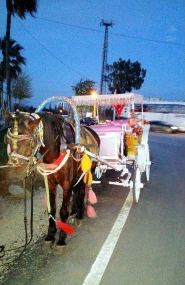 At Dışkısında Uyuşturucu Ticareti 2