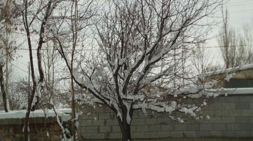 &Ouml;zalp&rsquo;ta Nisan Karı