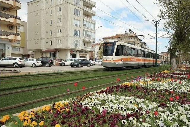 Gaziantep Çiçeklerle Güzelleşiyor