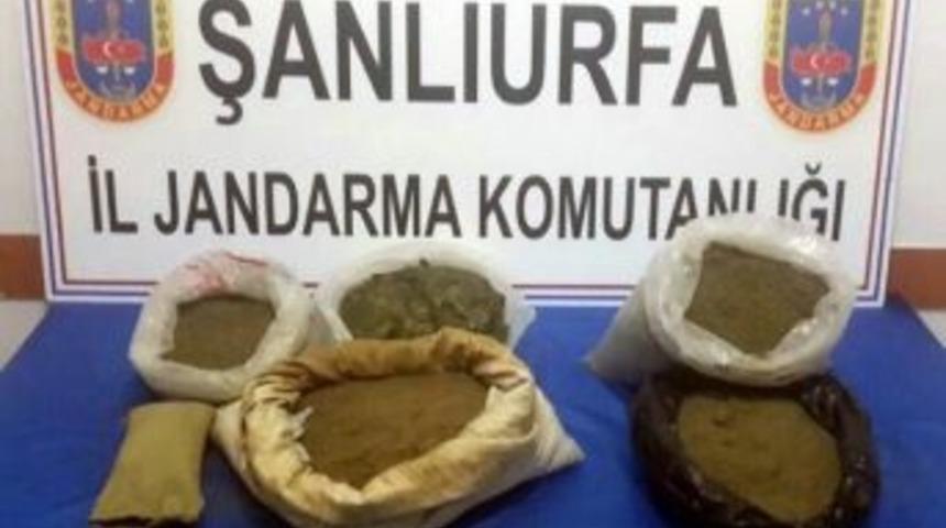 Jandarma Uyuşturucu Tacirlerine Ge&ccedil;it Vermiyor