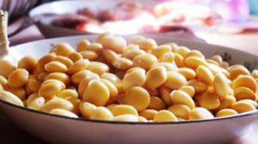 Her tanesinde sağlık var