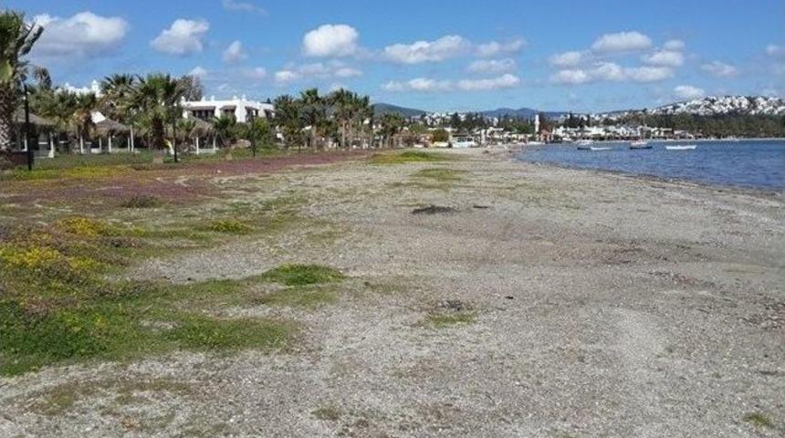 Bodrum&rsquo;da &ldquo;engelsiz Plaj&rdquo; Projesi