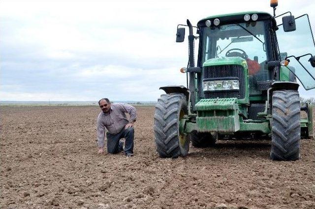 (özel Haber) Aksaray Pancar Üretiminde Türkiye 3’üncüsü