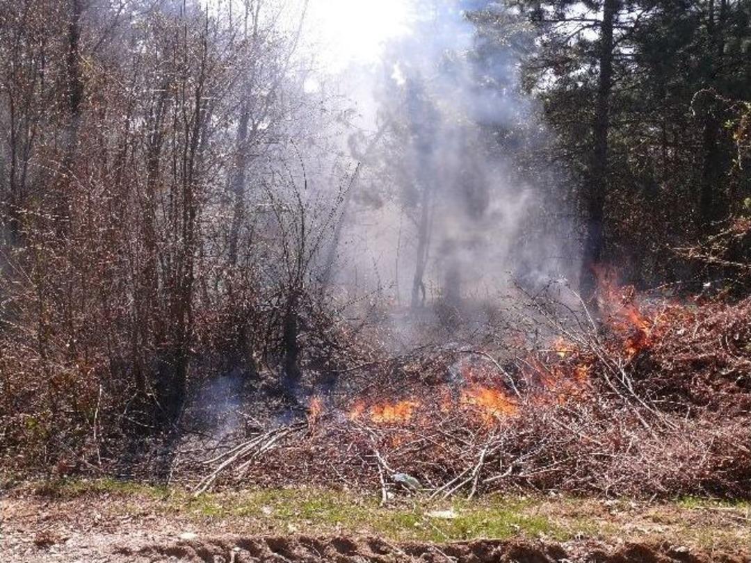 &Ccedil;atalzeytin&rsquo;de Faciadan D&ouml;n&uuml;ld&uuml;