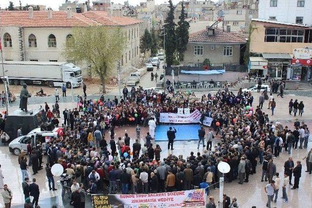 Kutlu Doğum Haftası Yürüyüşü Gerçekleştirildi