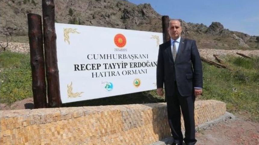 Amasya&rsquo;da Cumhurbaşkanı Erdoğan Adına Hatıra Ormanı Oluşturuldu