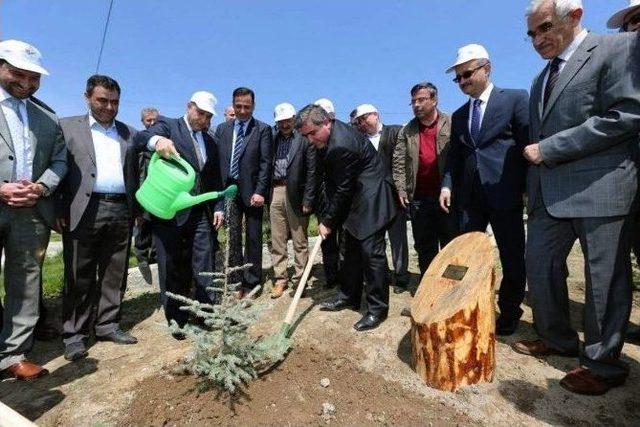 Amasya’da Cumhurbaşkanı Erdoğan Adına Hatıra Ormanı Oluşturuldu