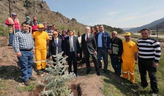 Amasya’da Cumhurbaşkanı Erdoğan Adına Hatıra Ormanı Oluşturuldu