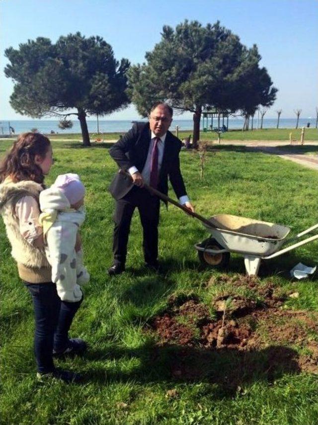 Yalova Belediyesi Doğan Her Bebek İçin Fidan Dikiyor