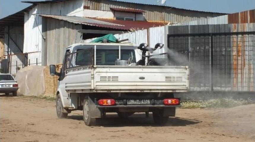 K&ouml;şk Belediyesi, Lavrasitlere Karşı M&uuml;cadele Başlattı