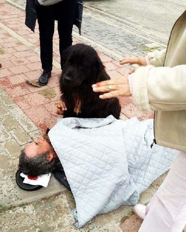 Köpeği 'yaren' Bir An Olsun Yanından Ayrılmıyor