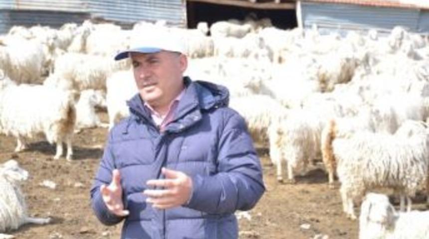 Damızlık Koyun Ke&ccedil;i &Uuml;reticileri Birliği Başkanı Hasan Kılı&ccedil;: