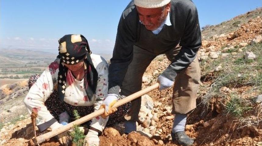10 G&uuml;nde 20 Bin Fidan Toprakla Buluştu