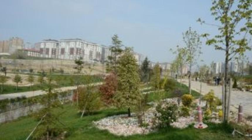 Yaşam Vadisi 1&rsquo;nci Etap Akademisyen G&ouml;z&uuml;yle İncelendi