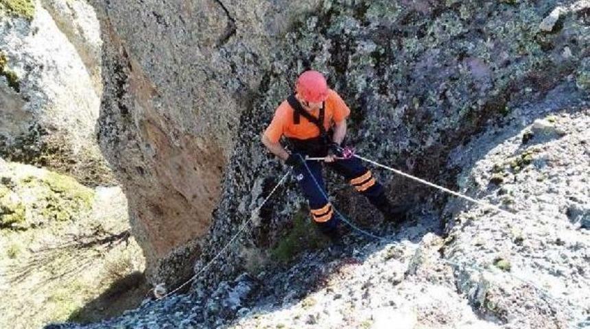 Kayalıklarda Mahsur Kalan Ke&ccedil;ileri Afad Kurtardı