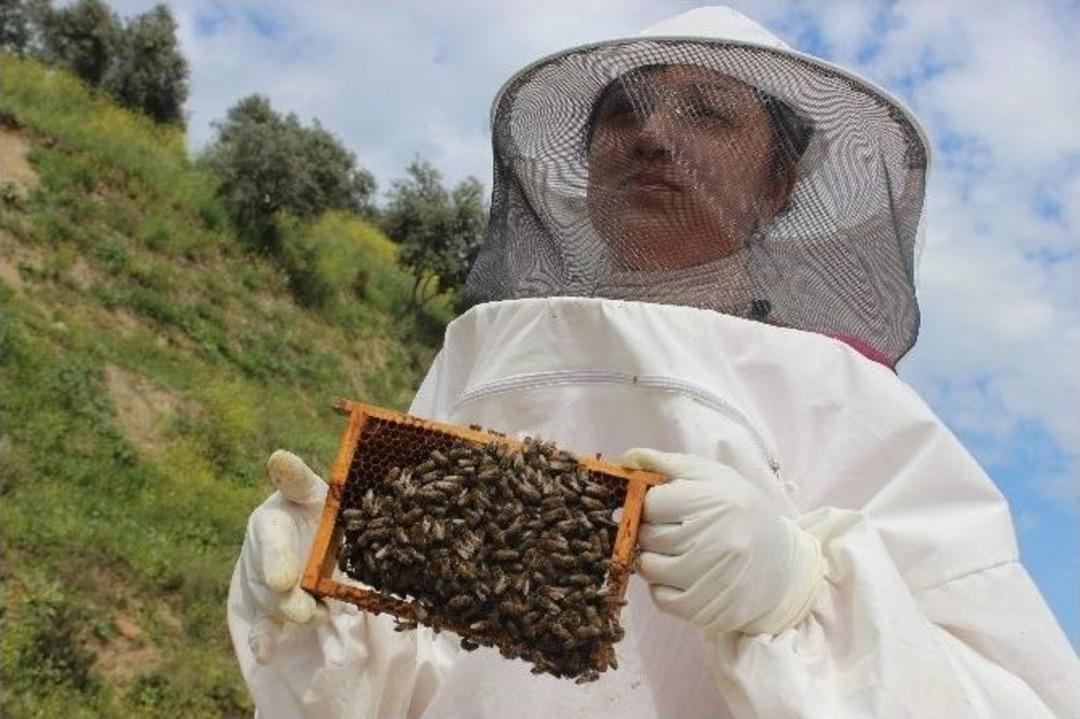 Hobi Ve Merak &Uuml;zerine Başladı, Krali&ccedil;e Arı &Uuml;retiminin Krali&ccedil;esi Oldu