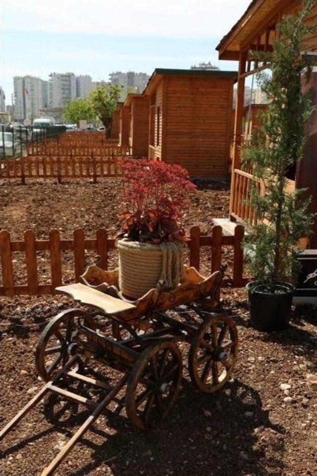 Mezitli&rsquo;de Hobi Bah&ccedil;eleri Sahiplerini Buldu 1