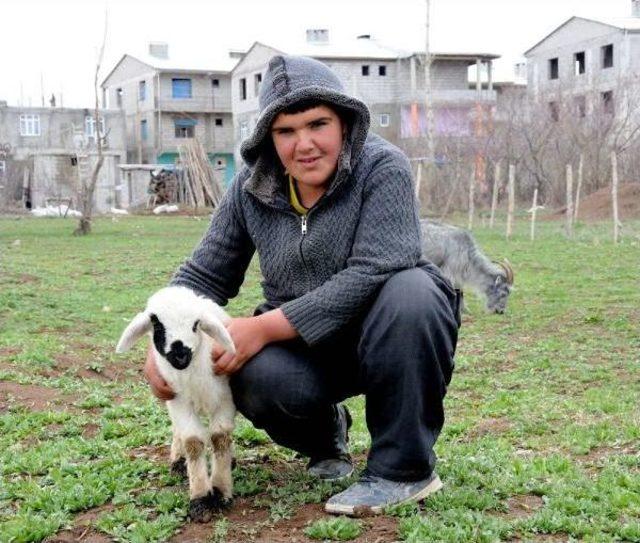 Kilolara Veda Hayata Merhaba 1