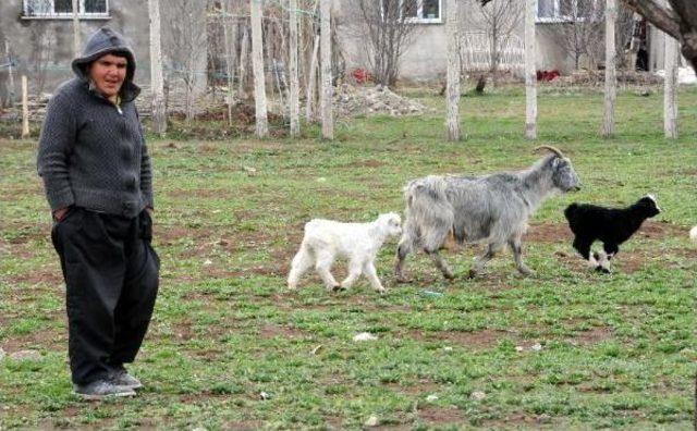 Kilolara Veda Hayata Merhaba 3