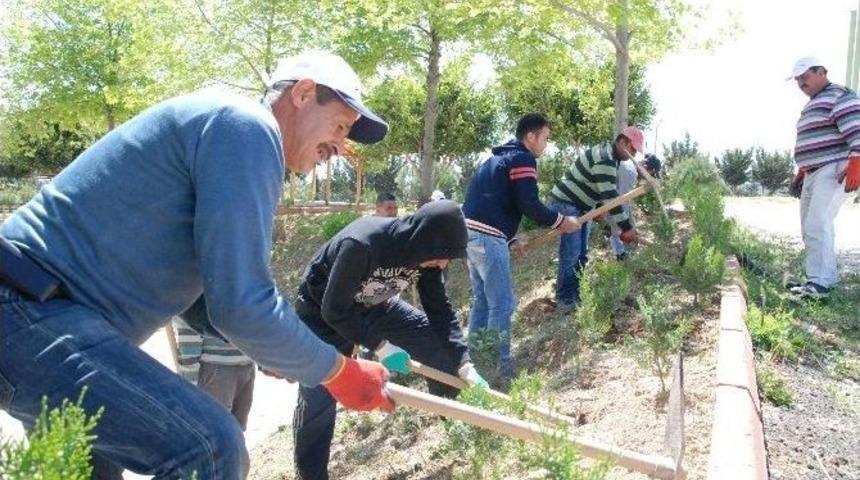 &Uuml;niversite &Ouml;ğrencileri &Ouml;zgecan Arslan İ&ccedil;in Fidan Dikti