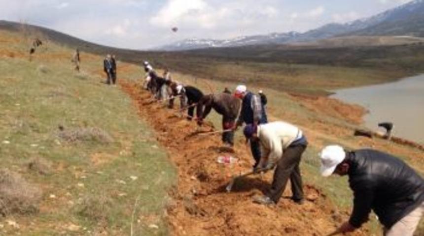 H&uuml;y&uuml;k&rsquo;te Yeşil Seferberliği