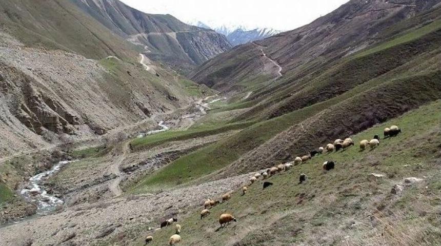 Isınan Havalar &Ccedil;ift&ccedil;ileri Sevindirdi