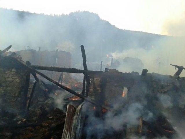 Bolu’da Yangın: 5 Ev, 2 Otomobil Ve 1 Samanlık Kül Oldu