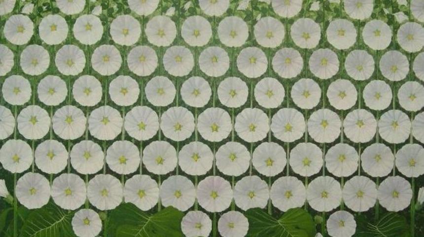 Sanko Sanat Galerisi&rsquo;nde Sergi