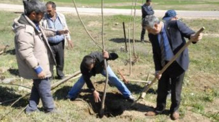 Ergani&rsquo;de Bin Fidan Toprakla Buluştu